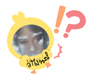 828480244