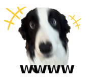 828481699