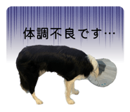 828481708