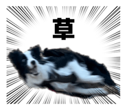 828481712