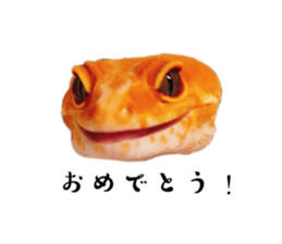 828482906