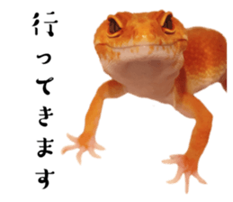 828482908