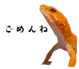 828482915