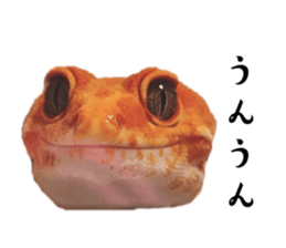 828482923