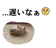 828483972
