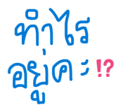 828493981