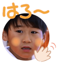 828499116