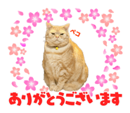 828501323
