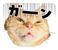 828501326