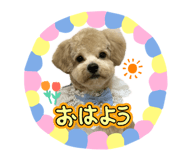 828501330