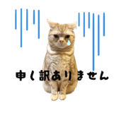 828501332