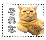 828501334