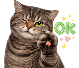 ❤️แมวสลิด ตึงจัด❤️(No Text) รูปที่ 14