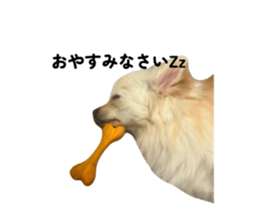 828507602