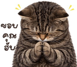 ลายที่ 3