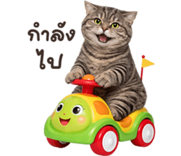 ลายที่ 7