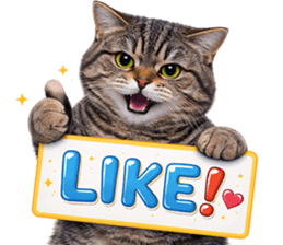 ลายที่ 17