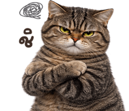 ลายที่ 41