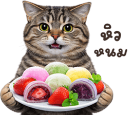 ลายที่ 47