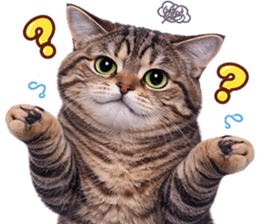 ลายที่ 51