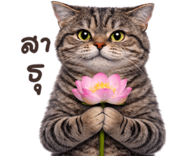 ลายที่ 55