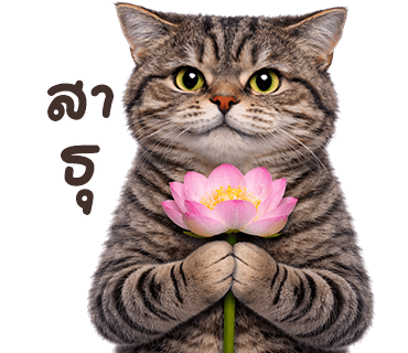 ลายที่ 28