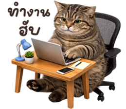 ลายที่ 57