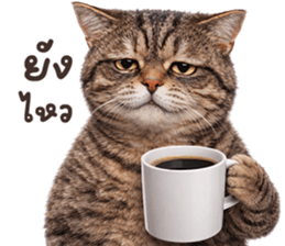 ลายที่ 63