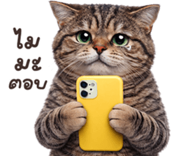 ลายที่ 65