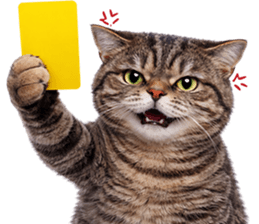 ลายที่ 67