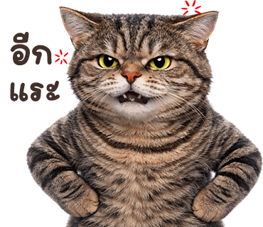 ลายที่ 36