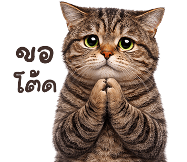 ลายที่ 37