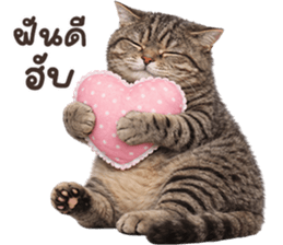 ลายที่ 79