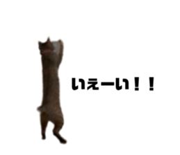 828530041