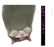 828535301