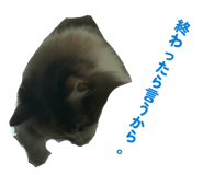 828535302