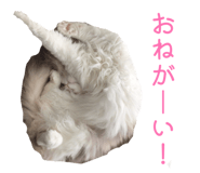 828535303
