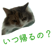 828535304