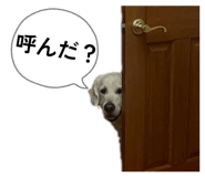 828535342