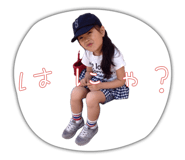 828541686