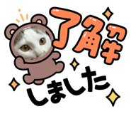 828591938