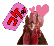828592902