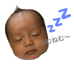 82861758