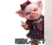 828622455