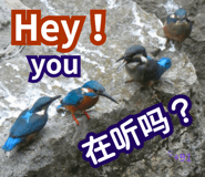 828623562