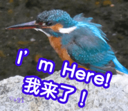 828623563