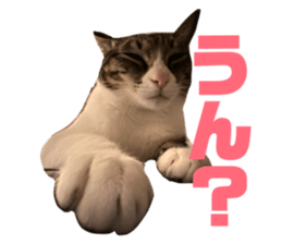 828633303