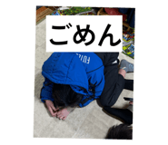 828633508