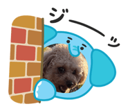 828637545