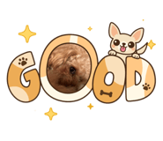 828637546
